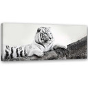 Canvasbillede, Tiger dyreliv natur