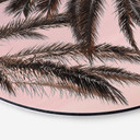 Tableau sur alu-Dibond rond 1X Studio - Palmiers