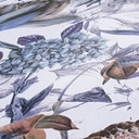 A.S. Création Dream Flowery papier peint intissé floral