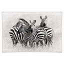 Poster - Trubitsyn - Zèbres dans la savane