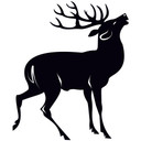 Wallsticker Rådyr 1