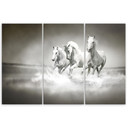 3 stykke lærredsprint, hvide heste galop