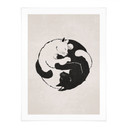 Plakat koty Ying & Yang - Tunaboylu