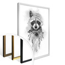 Plakat Kools - Rocco Raccoon