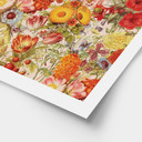Plakat Kolorowy kolaż kwiatowy - Frida Floral Studio
