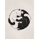 Fototapeta koty Ying & Yang - Tunaboylu