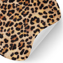 Naklejka na ścianę Wild Leopard - Animal Print - Tunaboylu - Round