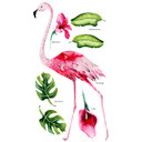Sticker mural Kvilis - Flamant rose tropical Set 01