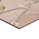 Wanddecoratie Vogels op Kersenbloesem - Cheney - Alu-Dibond