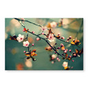 Tableau en verre acrylique - Eveil du printemps