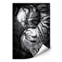 Zelfklevende Poster - Jancova - Sweet Kitten