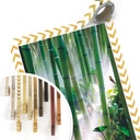 Poster - Bamboo Forest