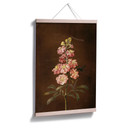 Poster Dietzsch -  Eine rosa Garten Levkkoje