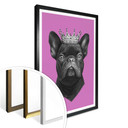 Plakat Korenkova - Król buldog francuski różowy