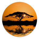 Tableaux Afrique | Paysage romantique pour le salon - Alu-Dibond Rond