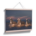 Plakat Rostowski - Anioły Camargue