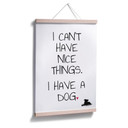 Poster - I can't have nice Things