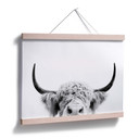 Plakat Sisi & Seb - Bull
