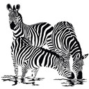 Wallsticker Zebraer 2