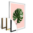 Plakat Loose - Monstera Ant
