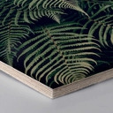 Hexagon hout - Varen 02