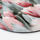Tableau sur alu-Dibond Annie - Tulipes de printemps - Rond