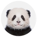 Naklejka na ścianę Sisi & Seb - Baby Panda - okrągła