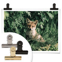 Plakat Sam w lesie