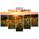 5 stykke lærredsprint, Sunset Flowers Meadow