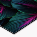 Køkken backsplash Farverige jungleplanter - Paksoylu