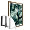 Plakat - Miejska dżungla - Calathea Orbifolia