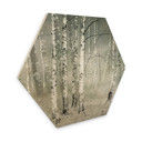 Hexagone - Bois Talen - Repos matinal