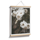 Plakat Annie - Louise Bugnet
