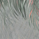 Botany Fotobehang exotische palmbladeren roze-groen - Ms Tiff