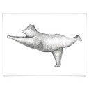 Plakat Kvilis - Yoga Bear 02