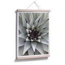 Plakat Agave 01