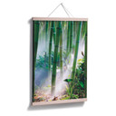Poster - Bamboo Forest