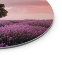 Glasbillede - Lilla lavendelmarker ved solnedgang - Cevik