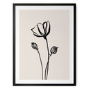 Plakat Line Art Poppy - Cats & Dotz