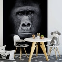 Papier peint photo Gorille - 192x260 cm