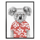 Plakat Solti - Koala w lecie