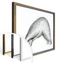 Plakat Kvilis - Yoga Bear 01