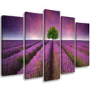 Impression sur toile en 5 parties, fleurs violettes des prés