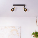 Spotbalken Emil, braun, 16,5 x 36,5 cm, Holz Innenleuchte