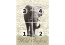 Vild safari ophængelig plakat