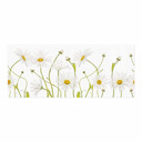 Revêtement pour cuisine Disher - Ox eye Daisies