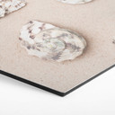 Hexagone - alu-Dibond 1X Studio - Sur la plage