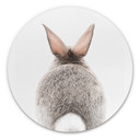 Tableau sur alu-Dibond rond Sisi & Seb - bas de lapin