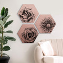 Hexagon Dibond Set Koper Effect - Kools - Flowers