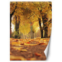 Fototapete, Goldener Polnischer Herbst